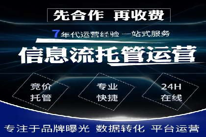 某旅游网站SEM优化案例：如何吸引目标用户